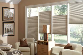  Blackout Cellular Shades 3/4